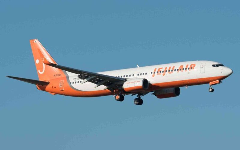 Nỗi ám ảnh chim va máy bay sau vụ tai nạn của Jeju Air