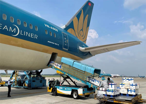 Giá Vé Máy Bay Hạ Nhiệt Mạnh, Nhiều Chặng Giảm Sâu 50%